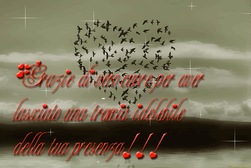 Lista amici di perle_del_cuore